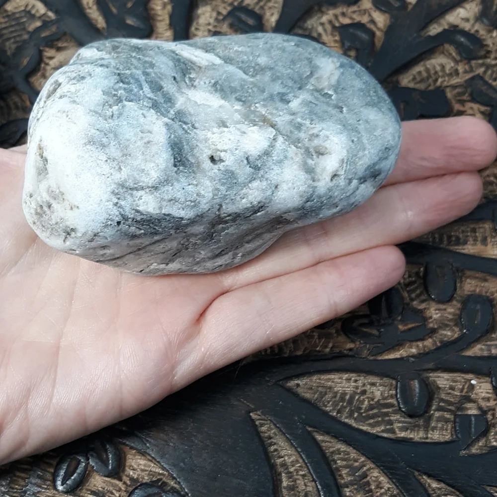 Maine Mottled Stone East Coast Lucky Beach Rock Raw Mineral Specimen Gray White